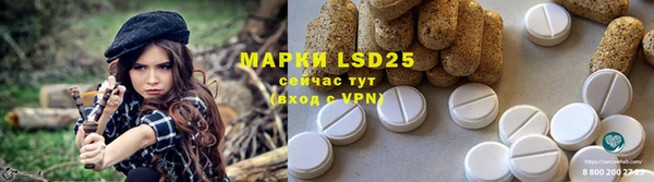 стафф Медногорск