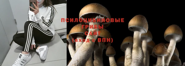 мдпв Мегион