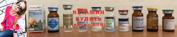 стафф Медногорск