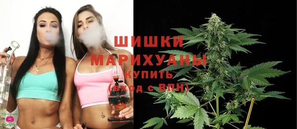 мдпв Мегион