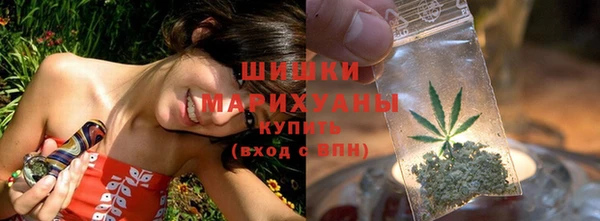 мдпв Мегион