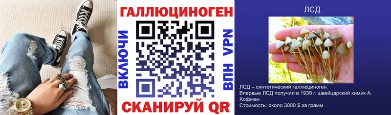 Псилоцибиновые грибы MAGIC MUSHROOMS  blacksprut как войти  Щёлкино  купить  